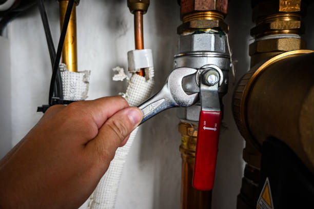 Best Plumbing Inspection Services  in Lincoln, ND